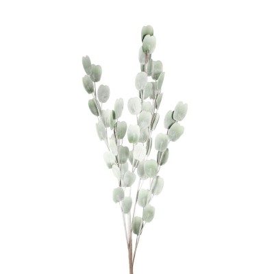 Persicaria Flower  - 59