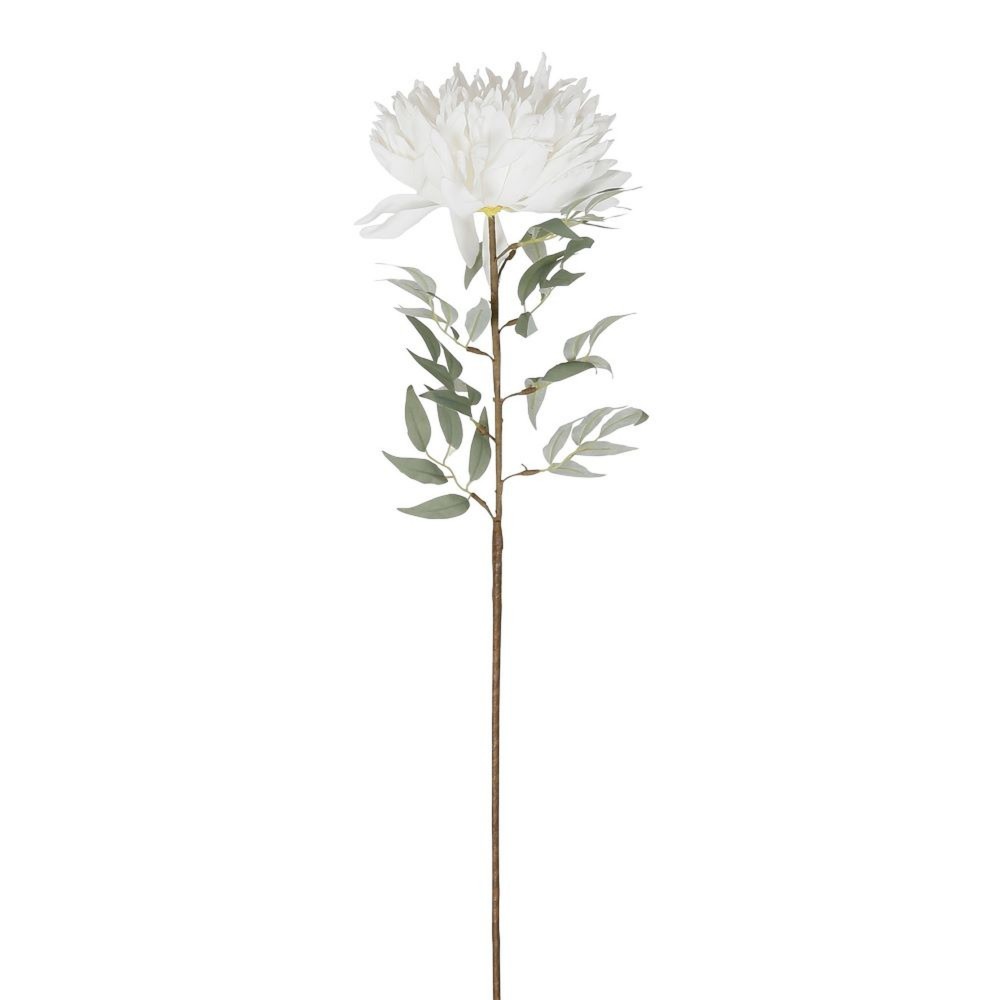 Dalhia Flower  - 39