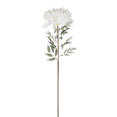 Dalhia Flower  - 39