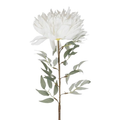 Dalhia Flower  - 40
