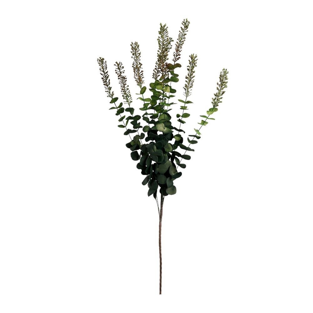 Eucalytus Flower  - 58