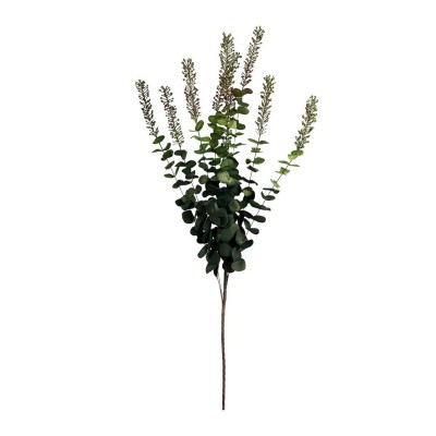 Eucalytus Flower  - 58