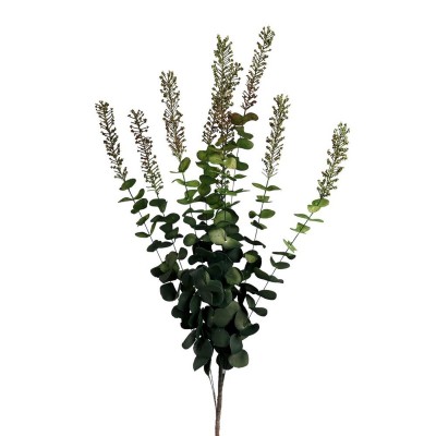 Eucalytus Flower  - 60