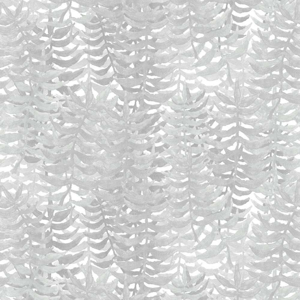 Papel pintado Fern  - 51