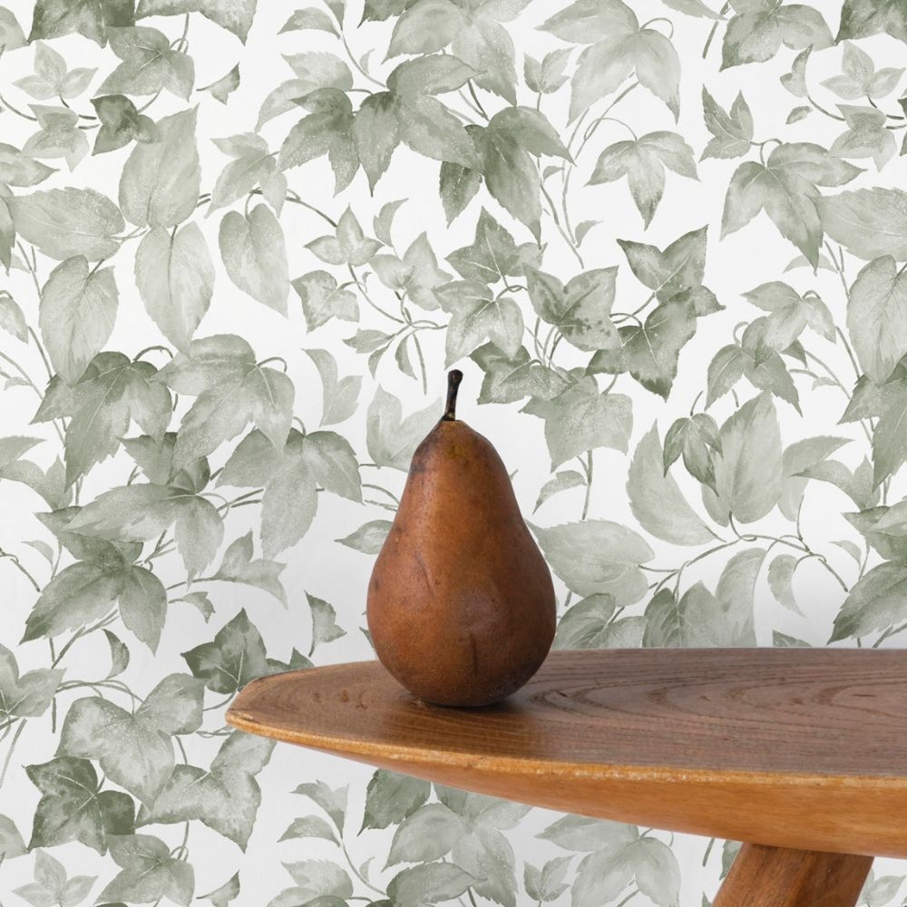 Hedera Green Wallpaper  - 39