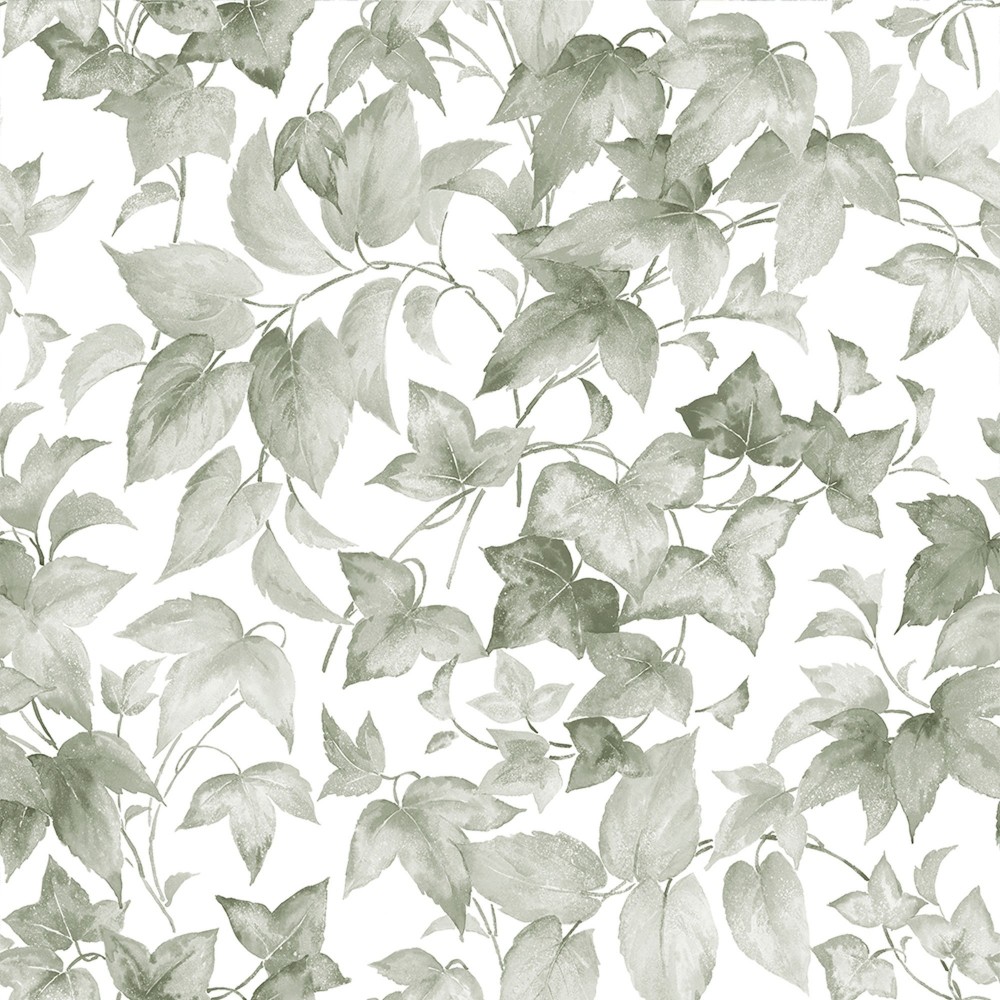 Hedera Green Wallpaper  - 40