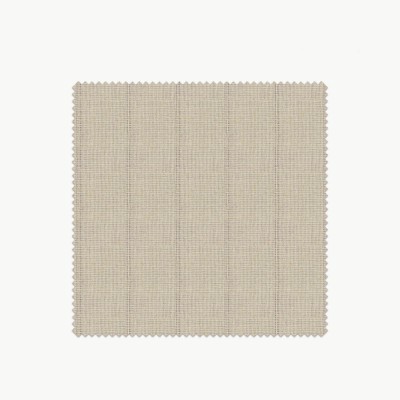 Detroit Stripe 06 sheer  - 12