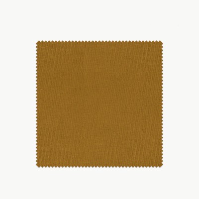 Tela Kentia  - 1