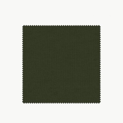 Tela Pazo  - 1