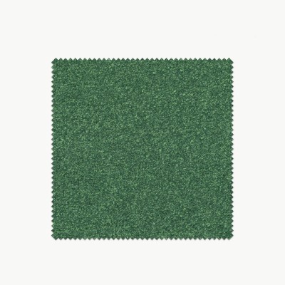 Tela Olmo  - 1