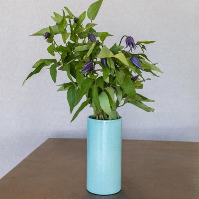 Patagonia Aquamarine Vase  - 197